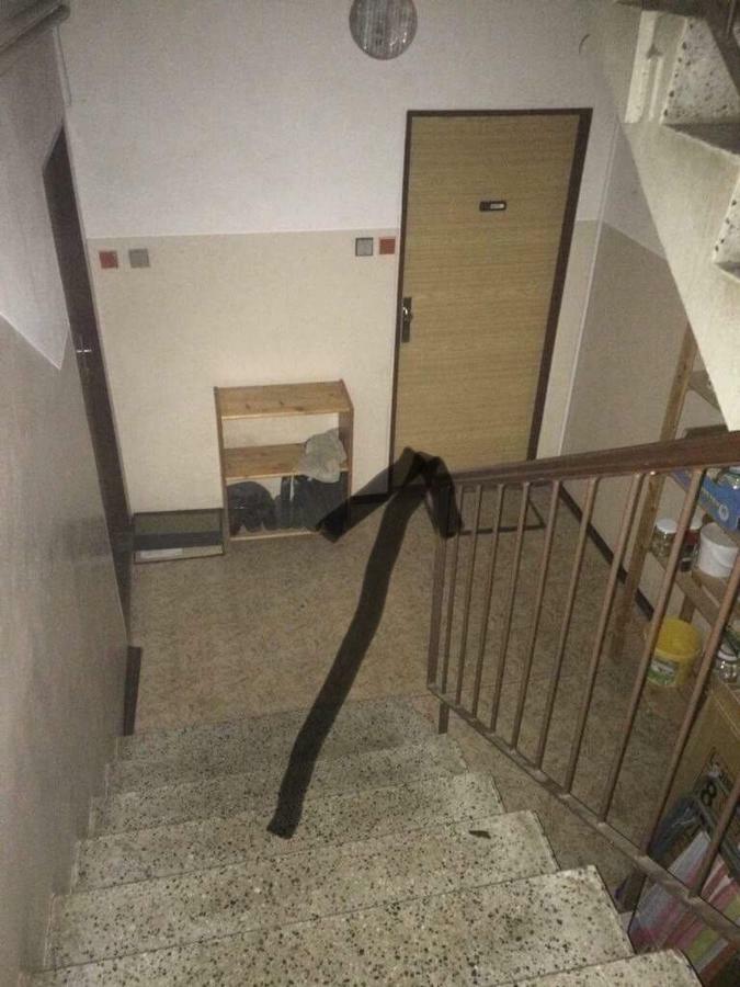 Apartman Na Horach Zlata Olesnice  エクステリア 写真